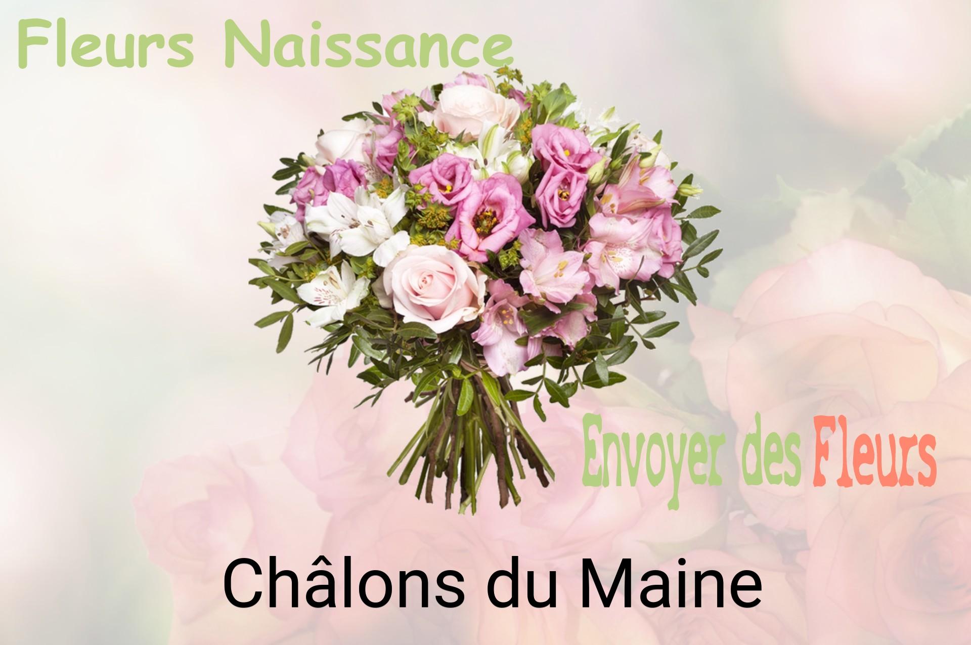Bouquet de fleurs de naissance livré à Châlons-du-Maine