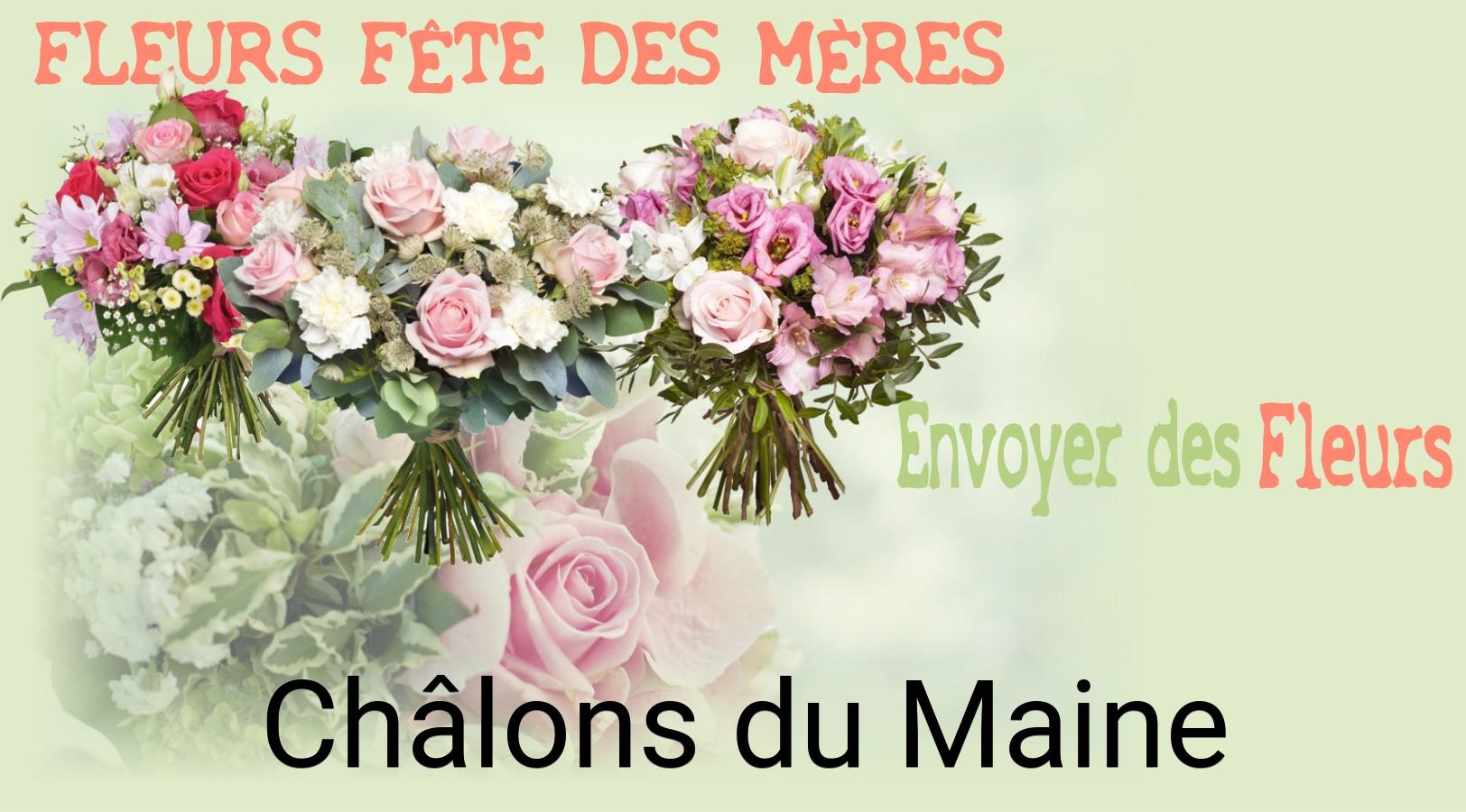 Bouquet de Fête des Mères livré à Châlons-du-Maine